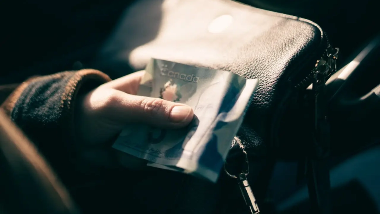 Photo by Erik Mclean: https://www.pexels.com/photo/a-person-holding-money-14046229/